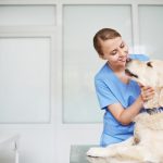 動物病院とは？特徴や選び方
